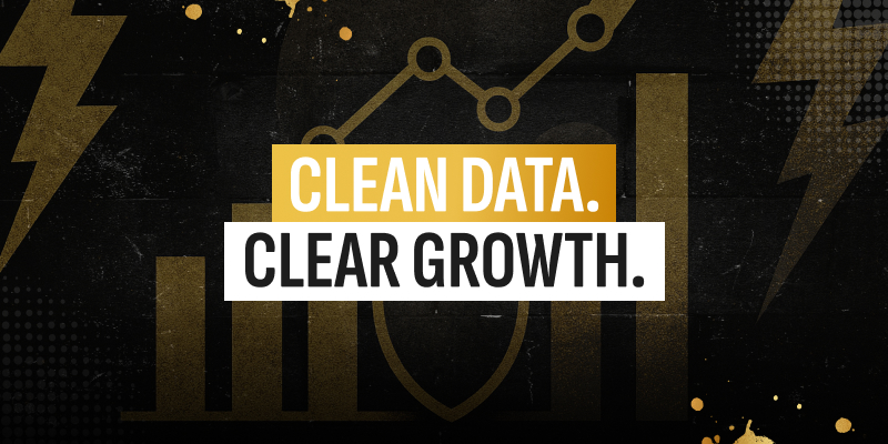Client dashboard with clear breakdown of filtered traffic and clean performance metrics